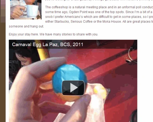 Video 4