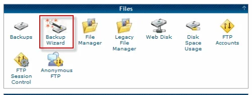 File Section